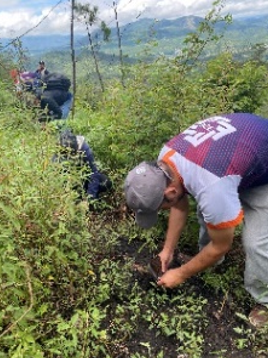 Imágenes de voluntarios
reforestando en el Parque Nacional la Tigra