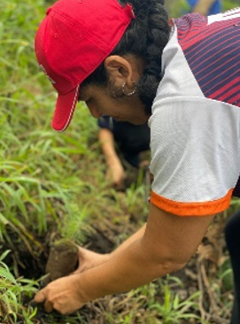 Imágenes de voluntarios
reforestando en el Parque Nacional la Tigra